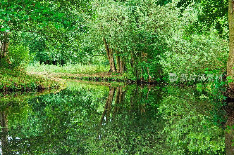 德国斯普雷瓦尔德的绿色森林河流景观