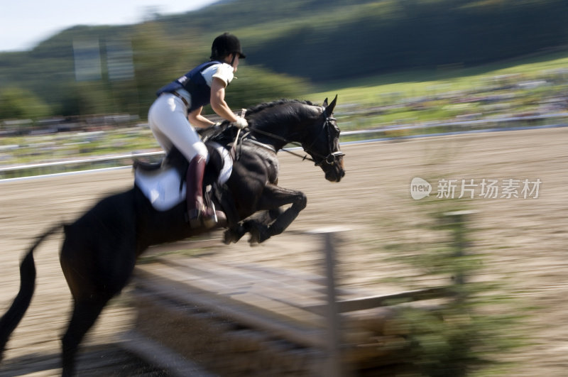 表演跳跃的马和骑手