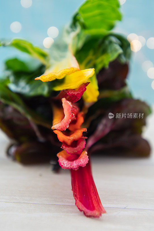 鲜切茎的彩虹甜菜