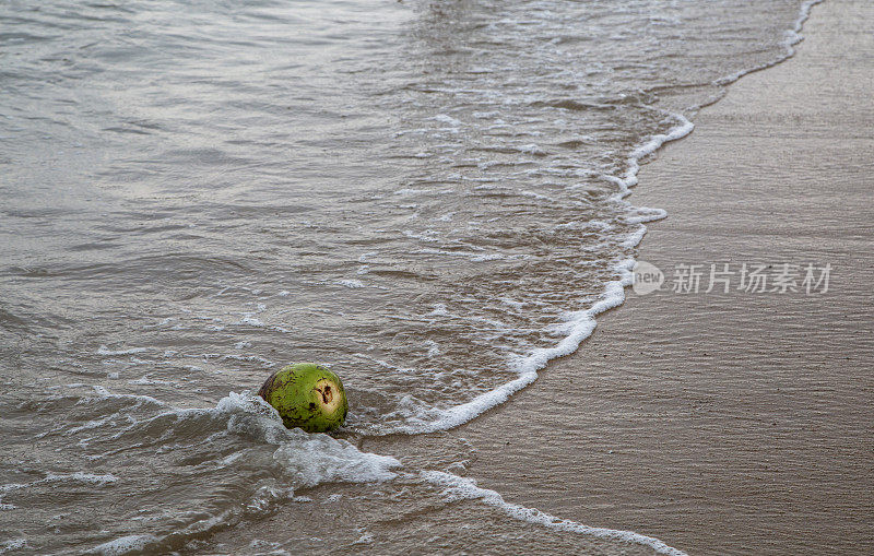 沙滩上椰子，海浪冲刷