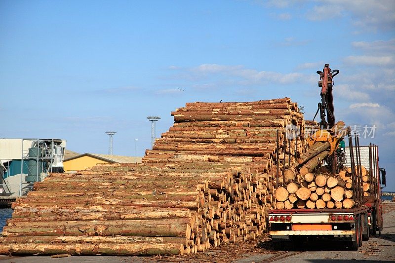 在港口把原木装上卡车