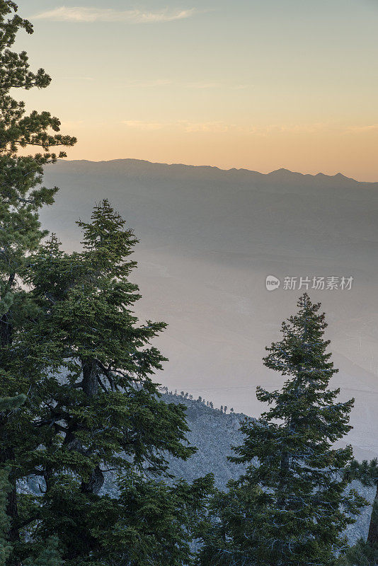 科切拉山谷和棕榈泉