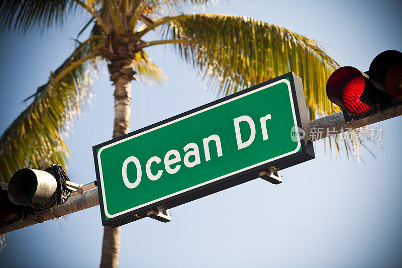 迈阿密的海洋大道，棕榈树旁