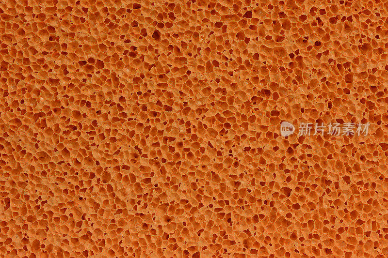 橙色海绵模式