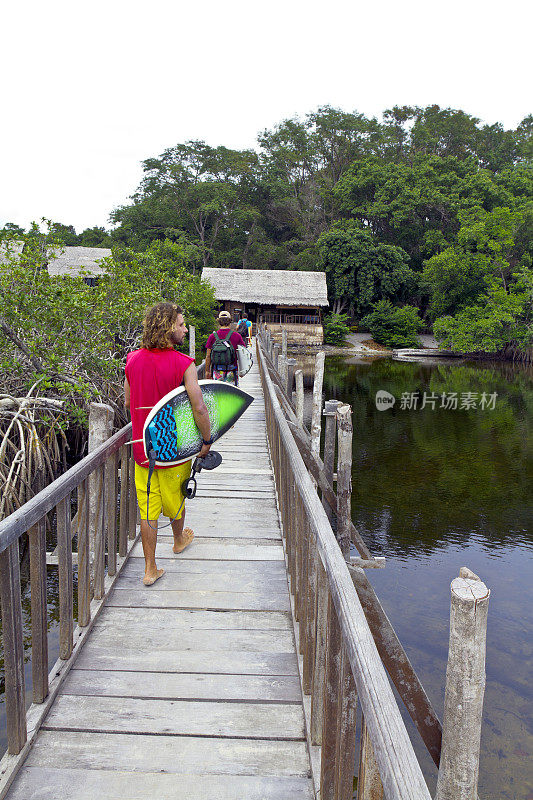 加蓬，埃斯图埃尔省，蓬加拉国家公园，桥。