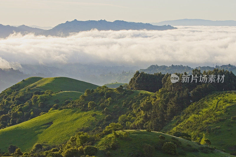 旧金山地区:雾和绿色的春天山