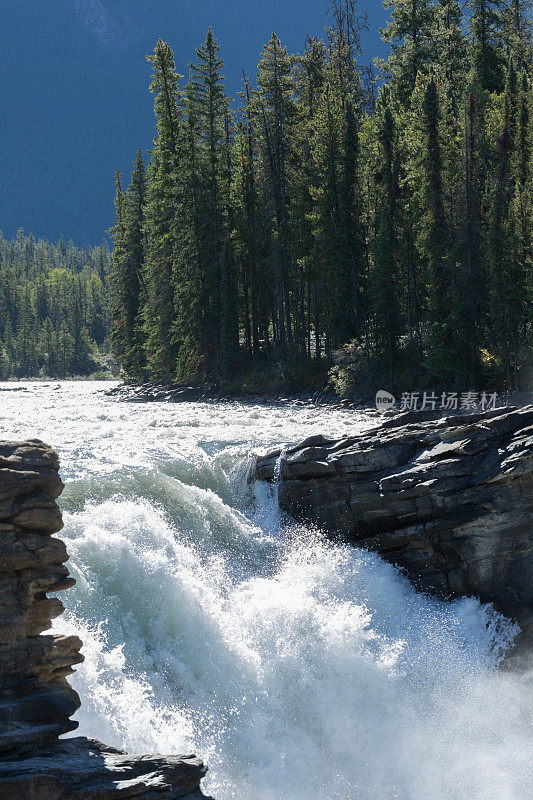 水流过岩石加拿大落基山脉的河流
