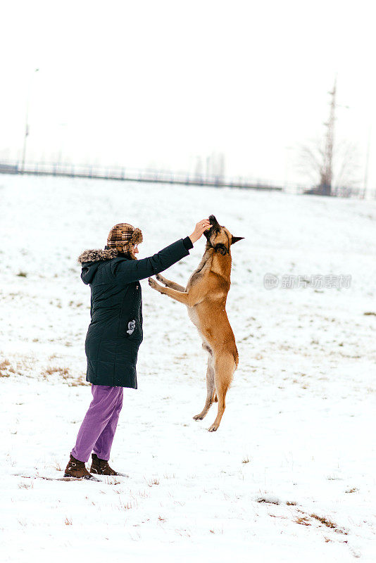 一个成熟的女人和她的比利时牧羊犬在雪中玩耍