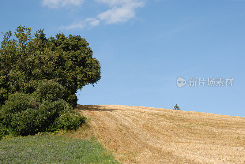 粮食山