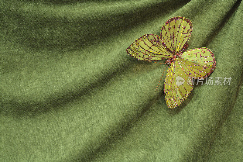 复制空间:蝴蝶在绿色褶皱织物上