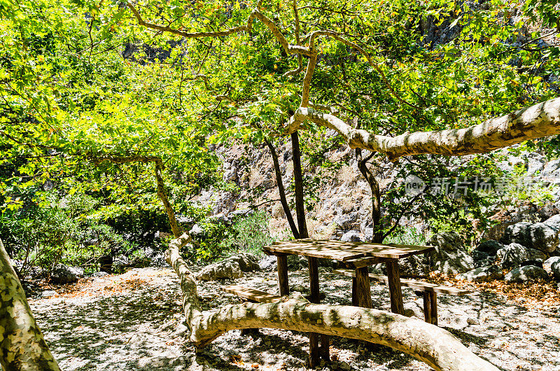 森林里的野餐桌