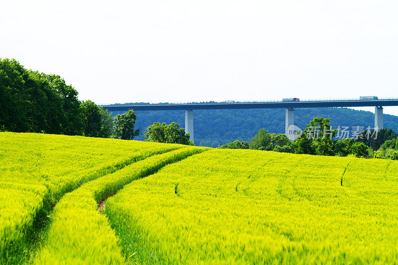 麦田和Ruhrtalbrücke