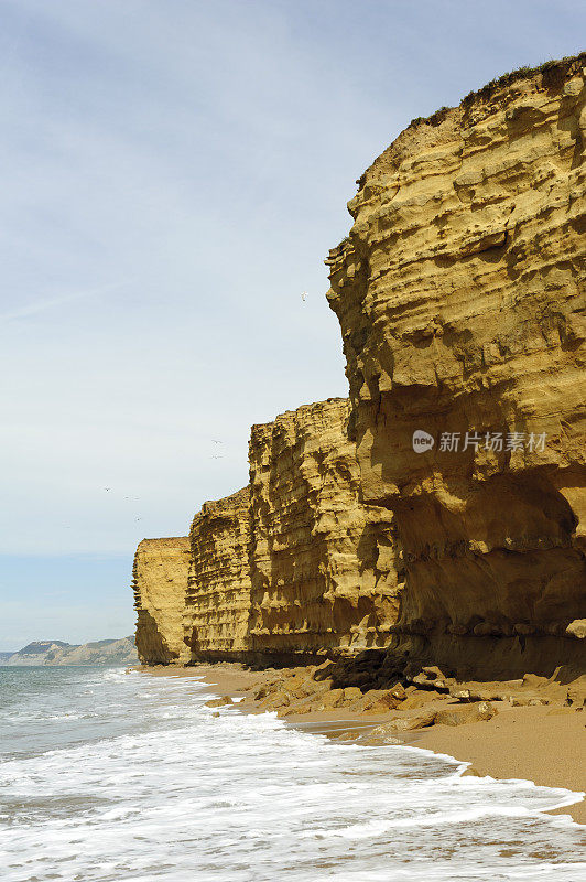 英国多塞特海滩的海岸线