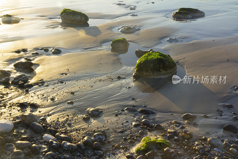 沙子，鹅卵石和海草