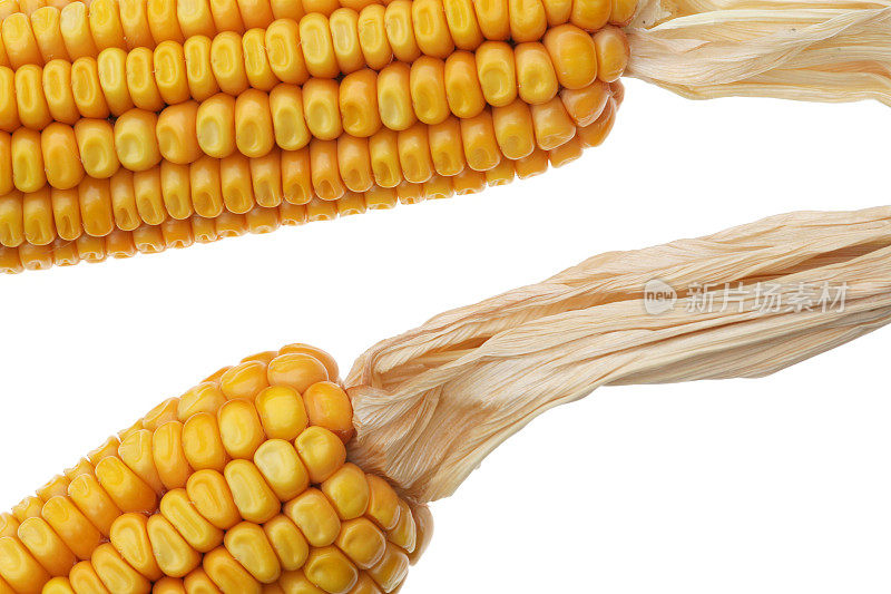 农产品-玉米