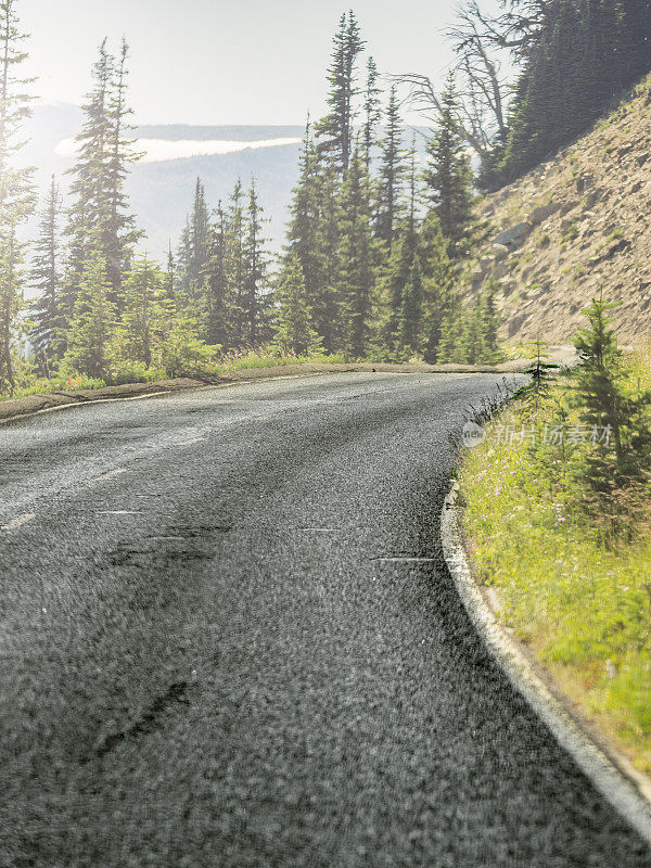 通往雷尼尔山的蜿蜒道路