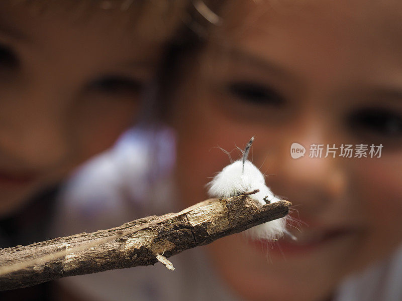 孩子们欣赏大自然