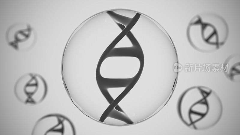 气泡中的DNA链螺旋