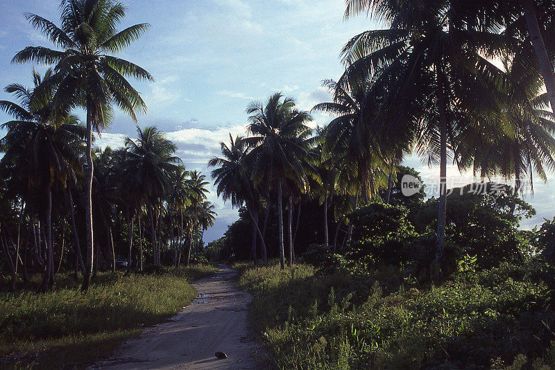黄昏的乡村路马朱罗环礁马绍尔群岛太平洋
