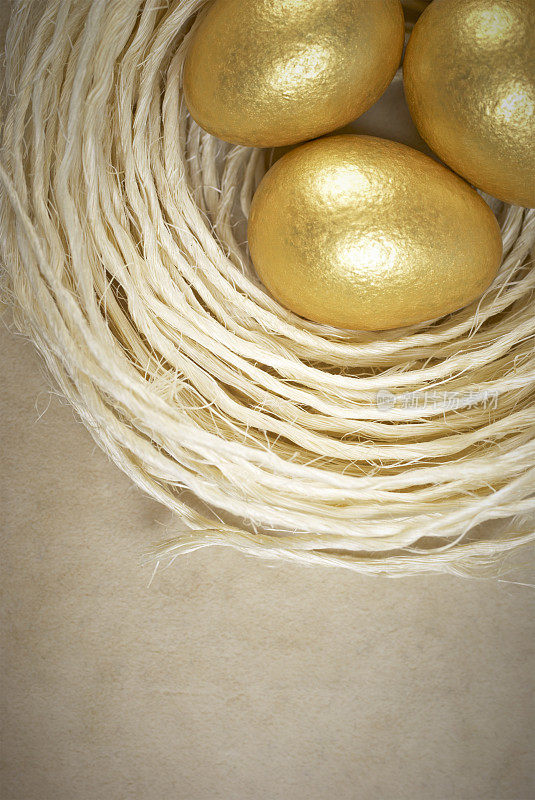 金蛋在巢中