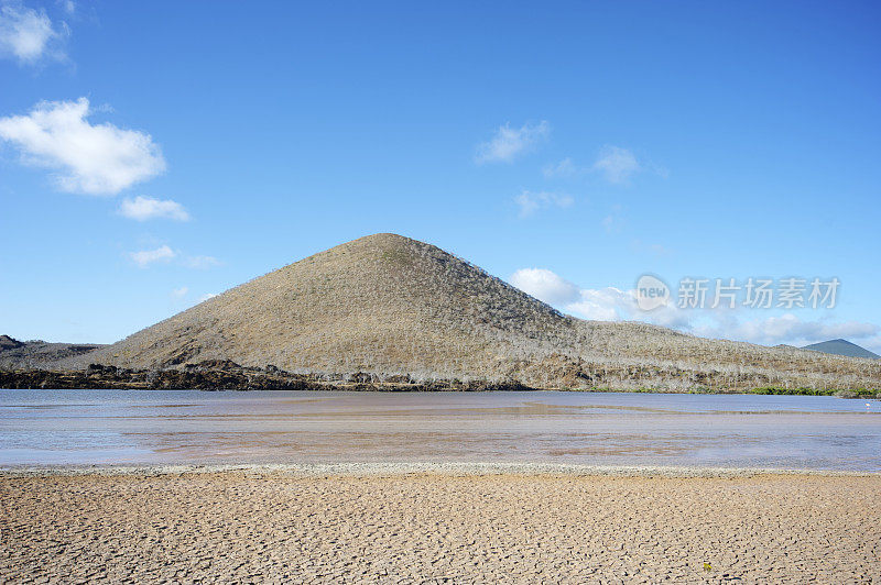 干燥的咸水泻湖岛，加拉帕戈斯群岛