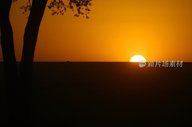 草原上的日出——马赛马拉