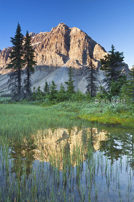 毛茛山(垂直)