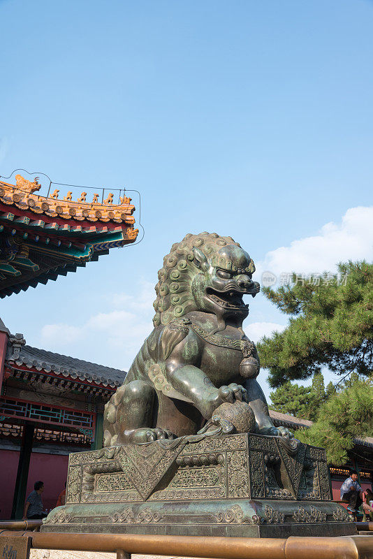 北京紫禁城的青铜狮子雕像