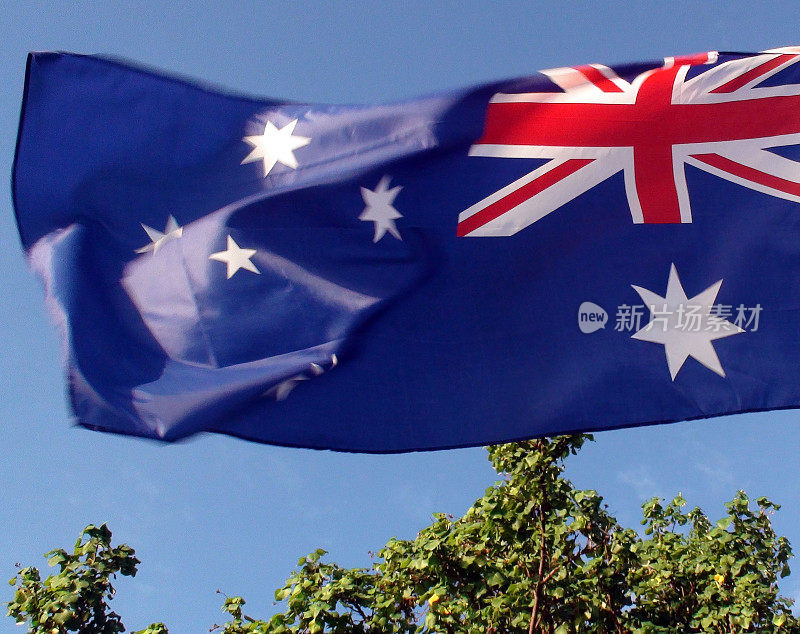 树，天空和澳大利亚国旗的景象