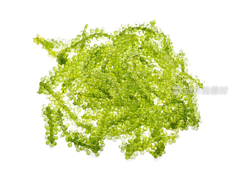 米不斗，葡萄，海藻或绿色鱼子酱在白色的背景