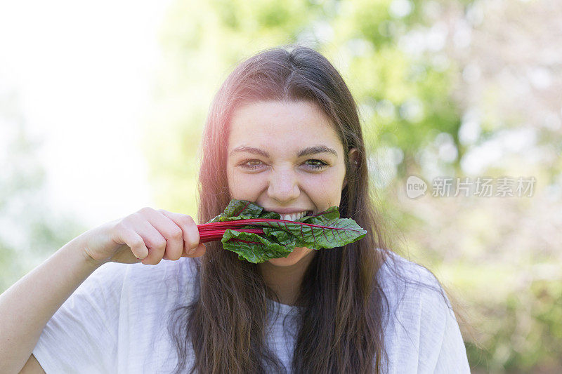 一个女孩在咬一片红宝石色的甜菜叶