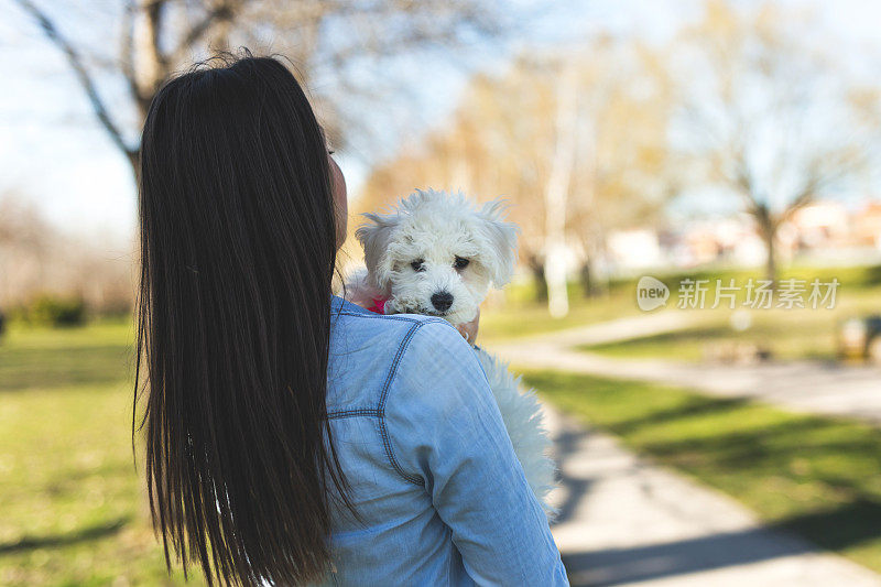 可爱的小狗在女人的肩膀上