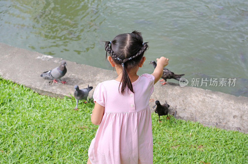 小女孩在公园里喂鸽子。