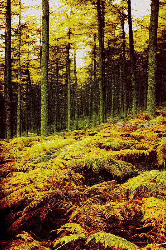 英国德比郡峰区国家公园-秋季风景秀丽