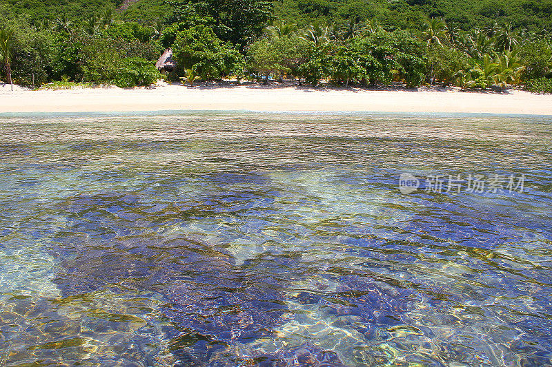 半透明的珊瑚礁和热带天堂:梦幻般的沙子荒芜的绿松石海滩和棕榈树，田园般的Yasawas，斐济群岛