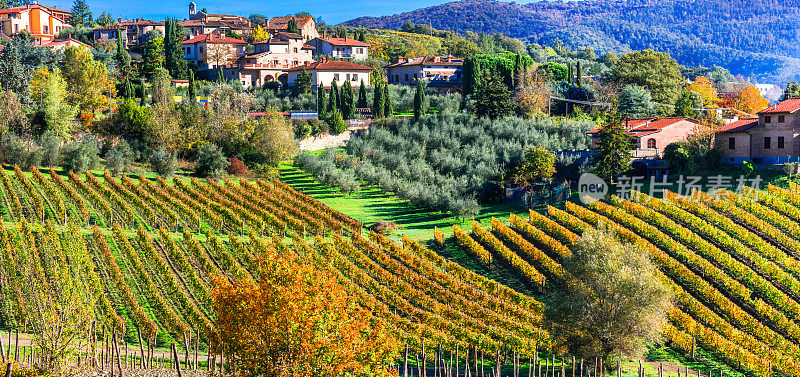 美丽的乡村和葡萄园在秋天的颜色。托斯卡纳，美丽意大利系列