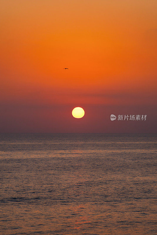 太阳接近太平洋地平线