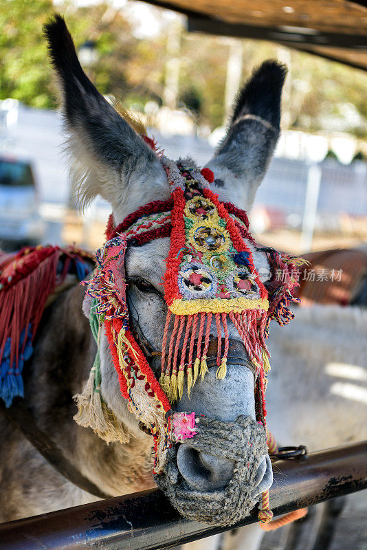 西班牙安达卢西亚的Mijas驴头装饰。