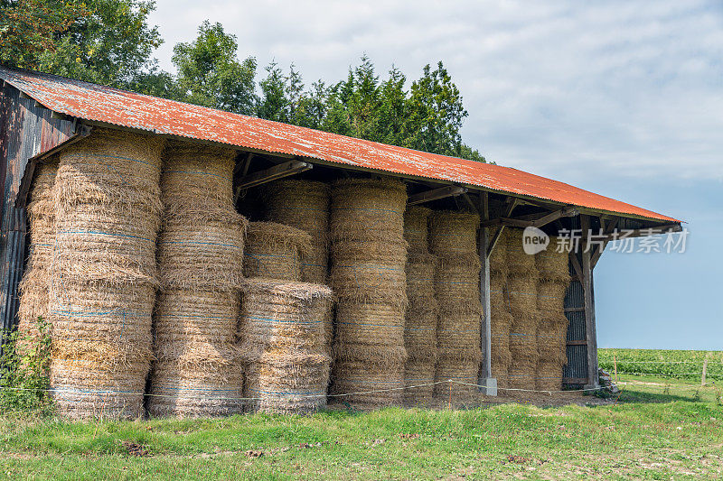 法国诺曼底的谷仓，堆满了干草堆