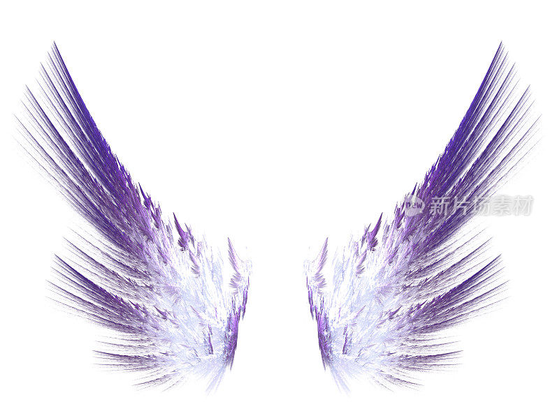 分形的紫色翅膀在白色孤立的背景。