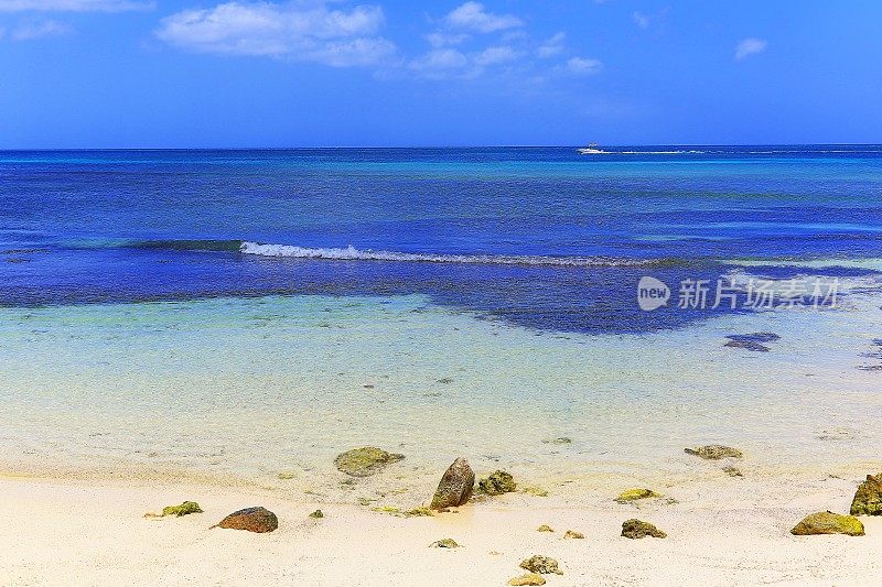 沉思:绿松石自然池，荒芜的海滩-阿鲁巴，加勒比海