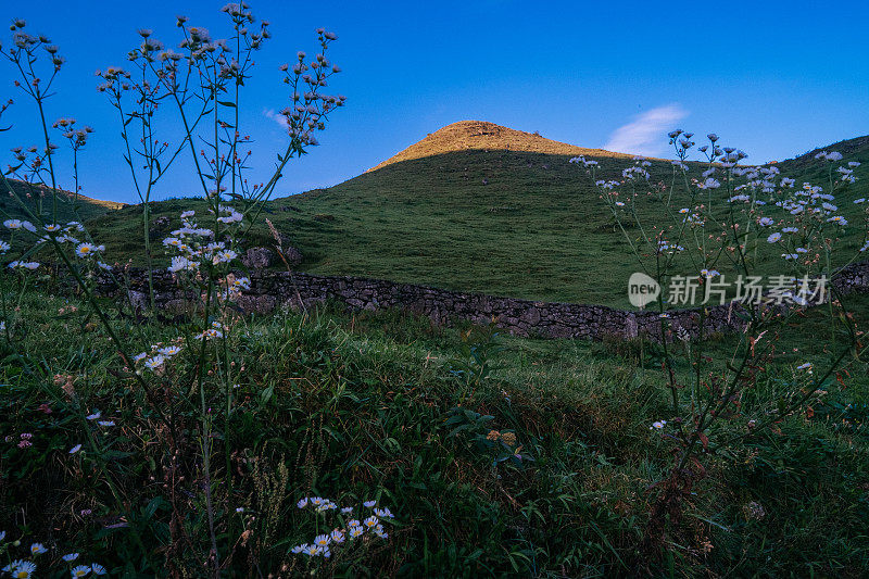 清晨的小山