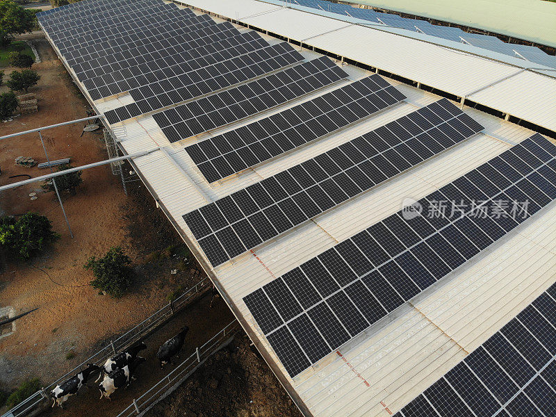 太阳能电池板可再生能源鸟瞰图