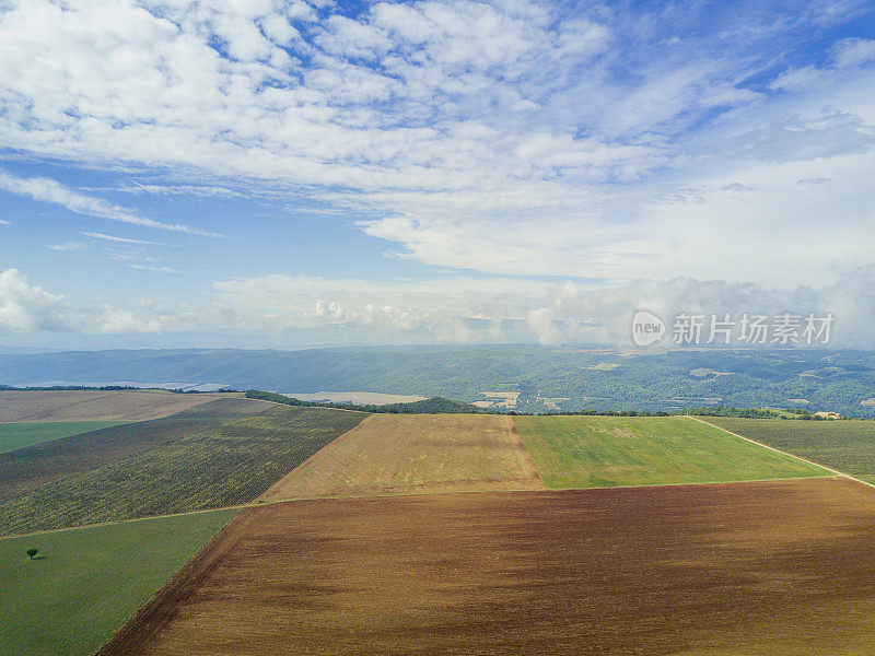 法国普罗旺斯迷人的薰衣草田风景。