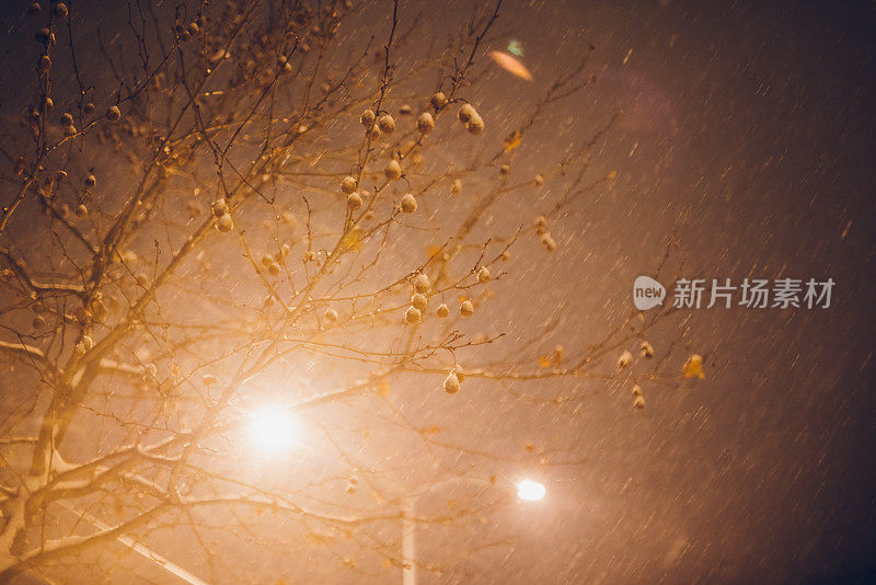 路灯下的雪