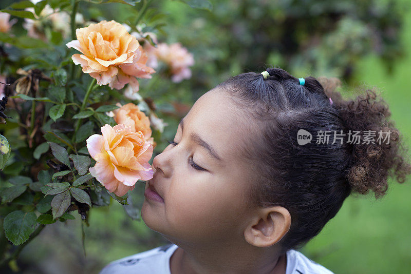 小女孩在闻玫瑰。