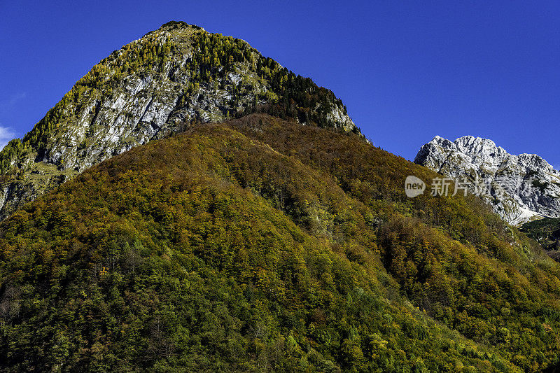 秋天的森林和山脉，Bavšcica山谷，Bovec，朱利安阿尔卑斯山，斯洛文尼亚，欧洲