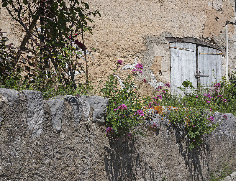法国南部普罗旺斯村庄的鲜花