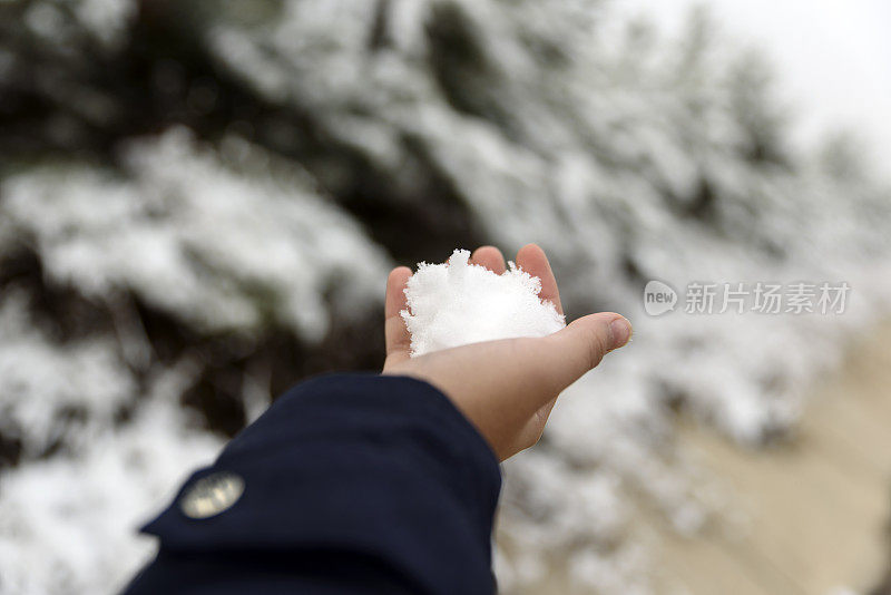 一个年轻女孩的手掌上的雪