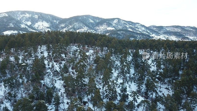 空中积雪覆盖的树木无人机拍摄风景冬季自然美丽的欧洲